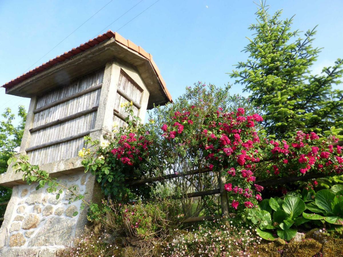 Villa Casa Da Eira Velha Vale de Cambra Exterior foto