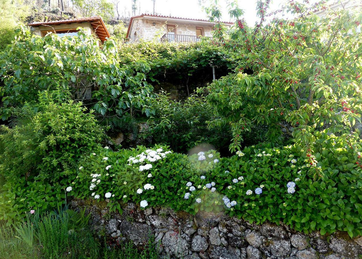 Villa Casa Da Eira Velha Vale de Cambra Exterior foto